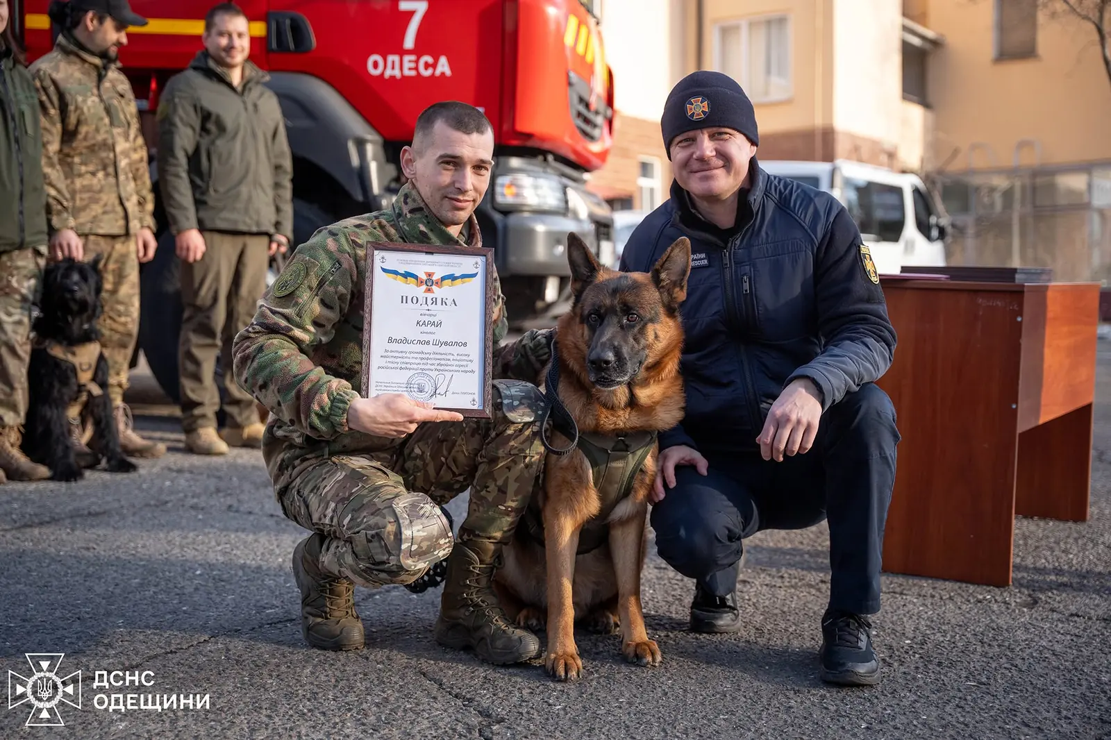 Karai · German Shepherd