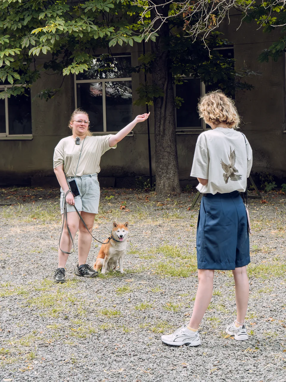 A participant with a Shiba Inu makes a hand gesture while talking to another participant