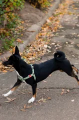 Review photo: Ksenia and Luna